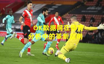 OK数据网在体育分析中的革新应用