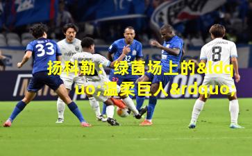 扬科勒：绿茵场上的“温柔巨人”