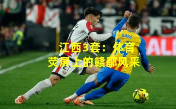 江西3套：体育荧屏上的赣鄱风采