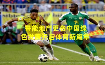 鲁能地产更名中国绿色发展开启体育新篇章