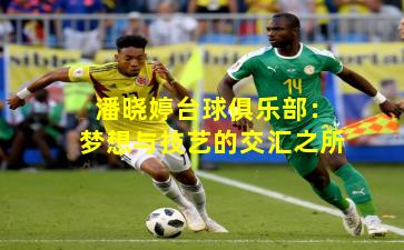 潘晓婷台球俱乐部：梦想与技艺的交汇之所