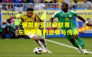 保加利亚超级联赛：东欧绿茵的激情与传承