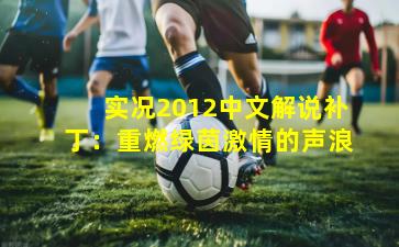 实况2012中文解说补丁：重燃绿茵激情的声浪