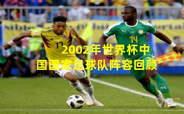 2002年世界杯中国国家足球队阵容回顾